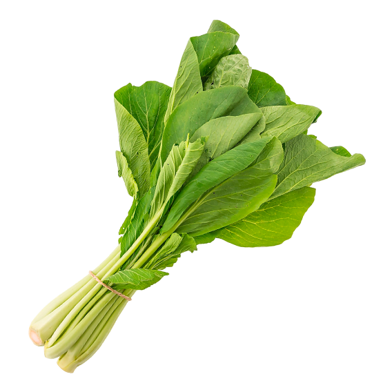 acelgas