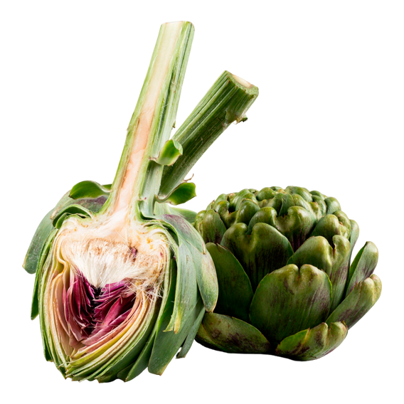 alcachofa