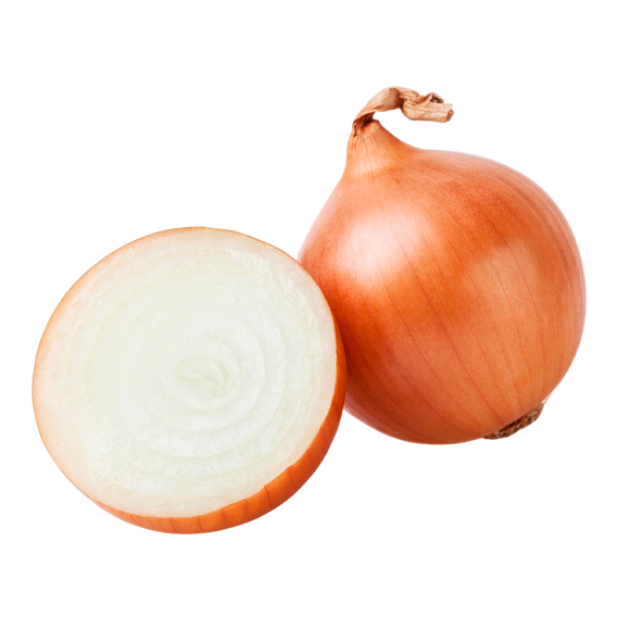 cebolla