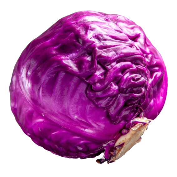 col lombarda