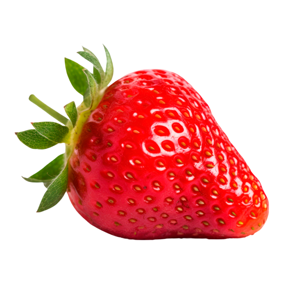 fresa
