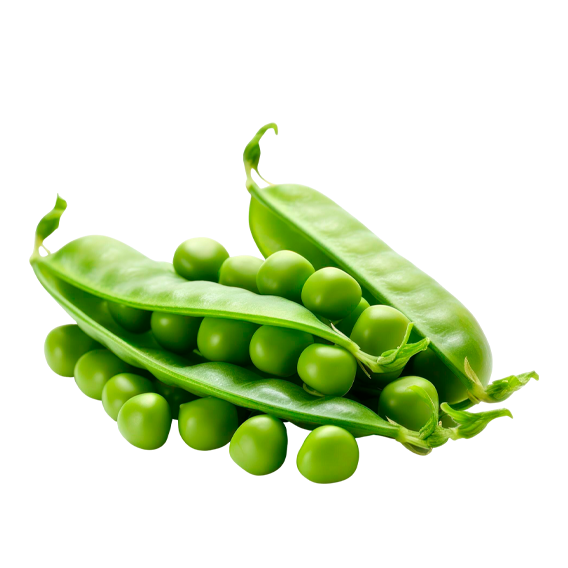 guisantes
