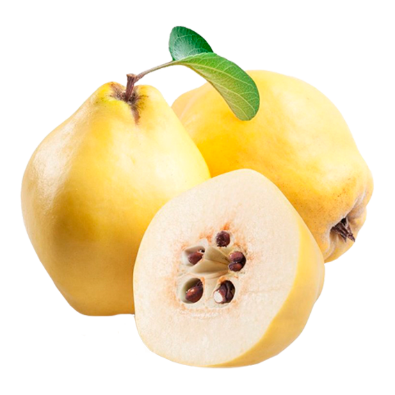 membrillo