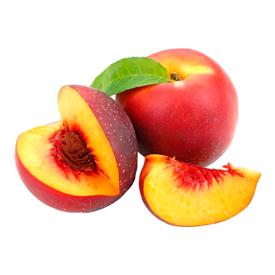 nectarina