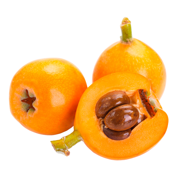 nispero