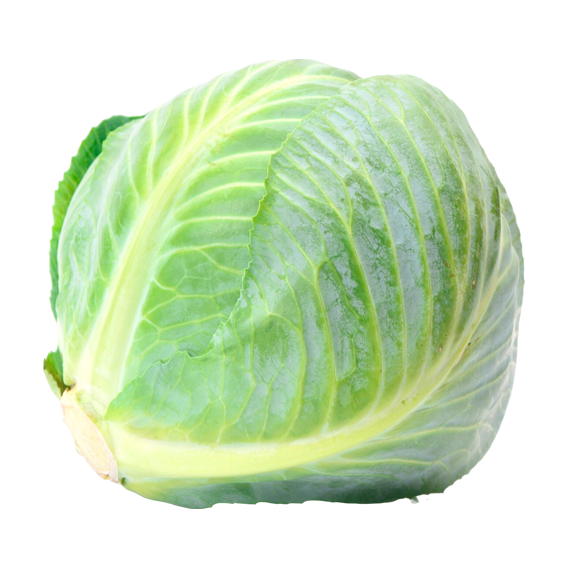repollo