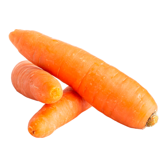 zanahoria