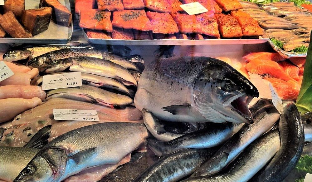 Pescados para dietas de adelgazamiento
