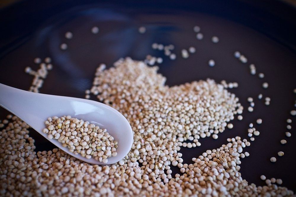 Propiedades, beneficios y calorías de la quinoa