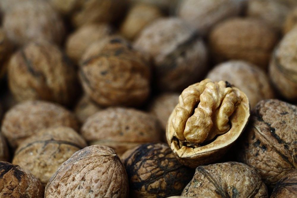 Valores nutricionales, calorías y beneficios de las nueces