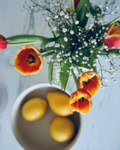 La primavera en el plato ALIMENTES