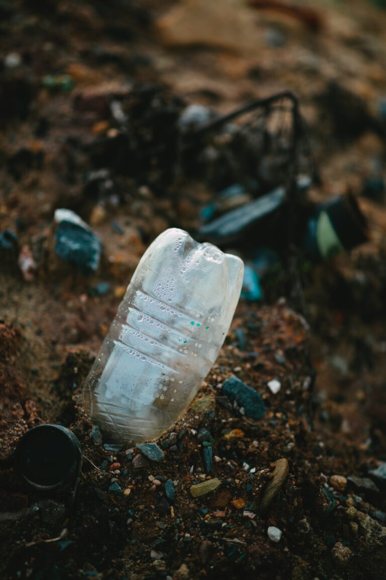 ¿Cómo cuidar la naturaleza en tus vacaciones de verano?