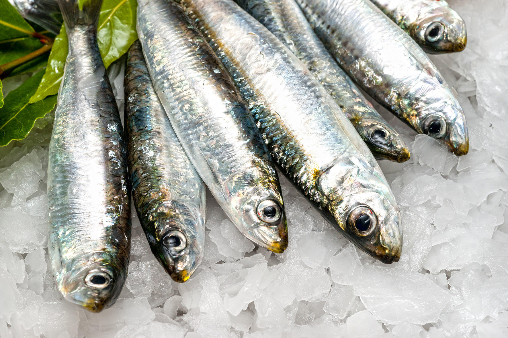 qué pescado es mejor para cenar