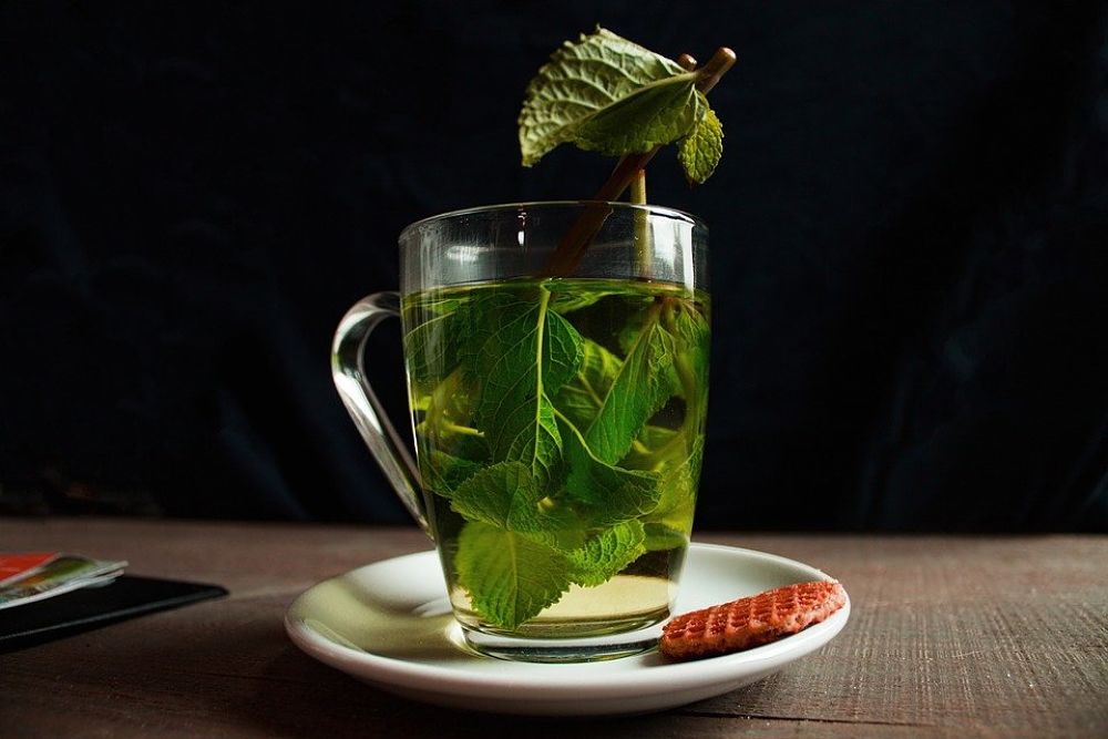 Beneficios del té verde en ayunas, por la noche y en general