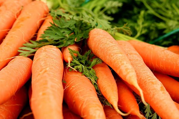 Zanahoria producto de temporada de verano