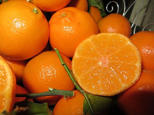 Productos de temporada en octubre que no pueden faltar en tu dieta