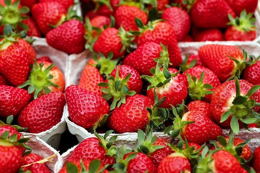 Alimentos de temporada, los 3 mejores por estacion