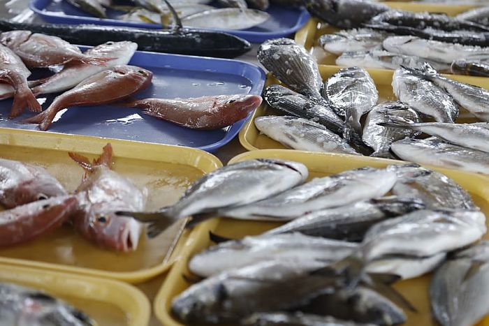 Lubinas, producto de temporada en noviembre
