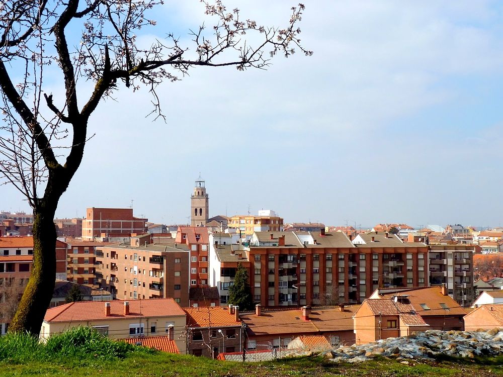 Ubicación y horarios de Gadis en Medina del Campo