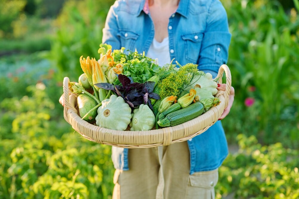verduras de julio con más fibra